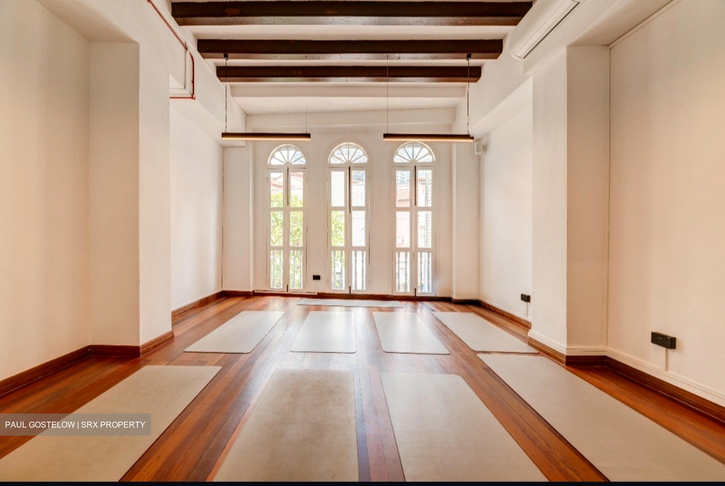 Boat Quay Conservation Area (D1), Shop House #623180831